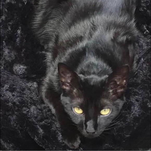 Meet your Posher, Nicolle - Picture 6 of 10